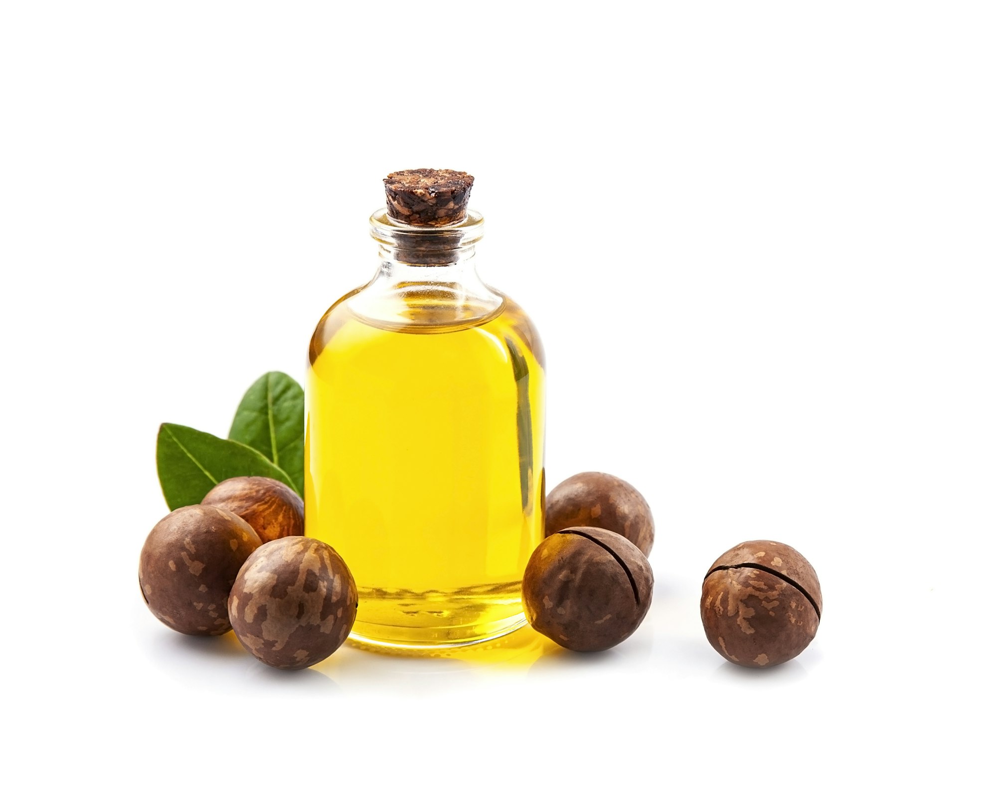 Macadamia oil