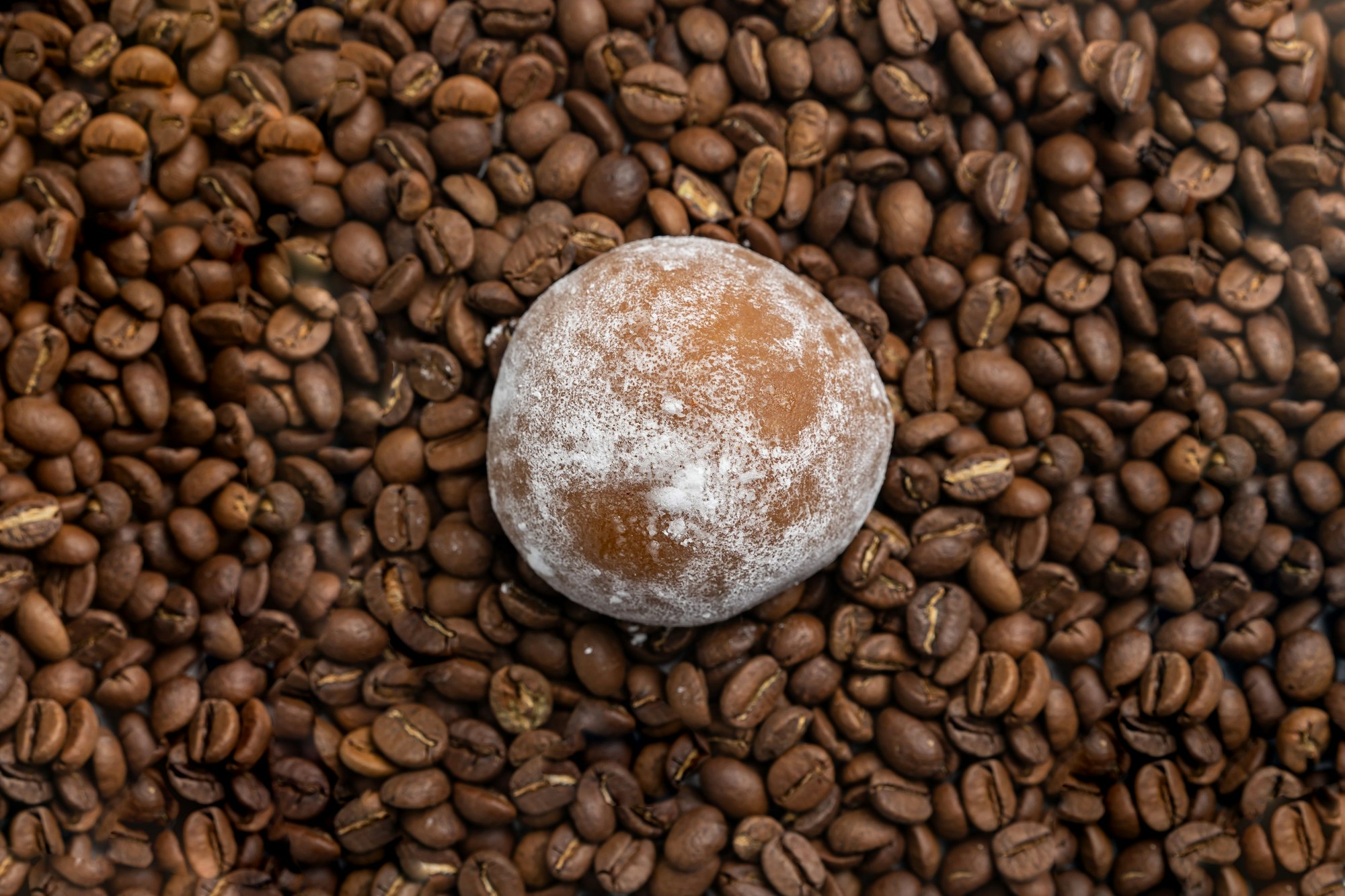 Single traditional Japanese mochi dessert on the coffee beans